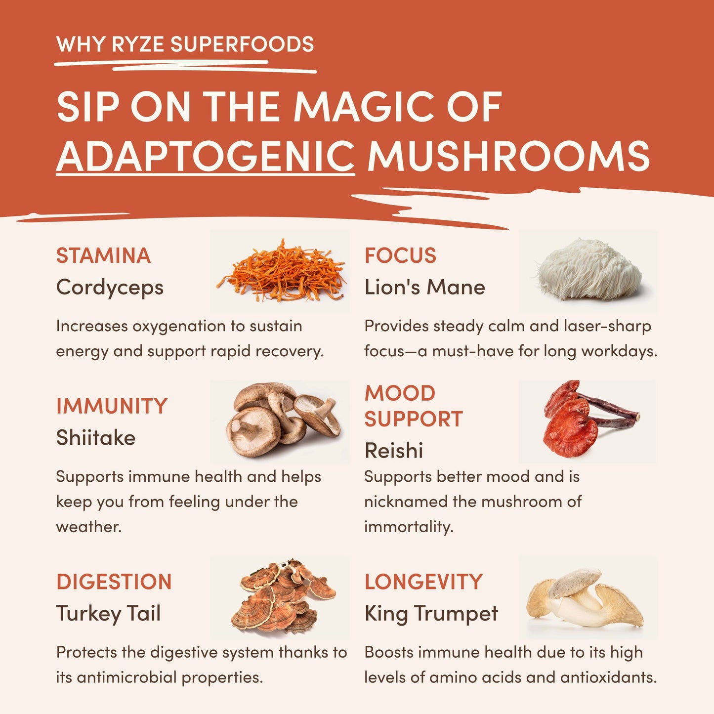 Vanilla Creamer 2-Pack